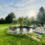 Mindfulness Course (8 meetings)
